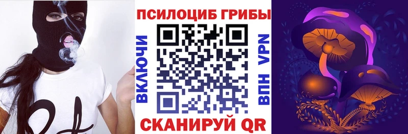 Галлюциногенные грибы Psilocybe  МЕГА как войти  Слюдянка 